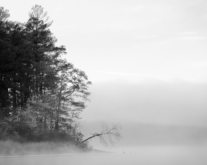 snowytrees (8).jpg (478 KB)